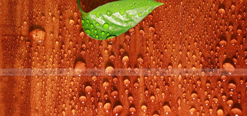tính chống ẩm của sàn nhựa giả gỗ BD2309 | KOSAGO